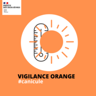 Le département des Deux-Sèvres placé en vigilance orange alerte canicule