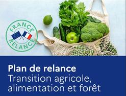 FranceRelance : le volet "Transition agricole, alimentation et forêt"