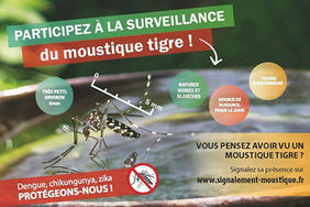 Évolution de l'implantation du moustique tigre dans les Deux-Sèvres