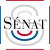 logo_senat_small